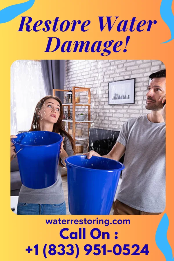 water restoration Ideal Damage Recovery Force McArthur