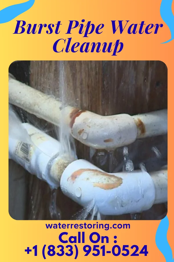 Burst Pipe Water Cleanup in McArthur, OH
