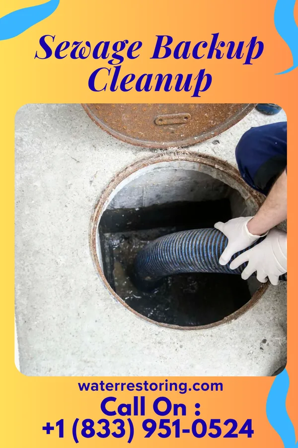 Sewage Backup Cleanup in McArthur, OH