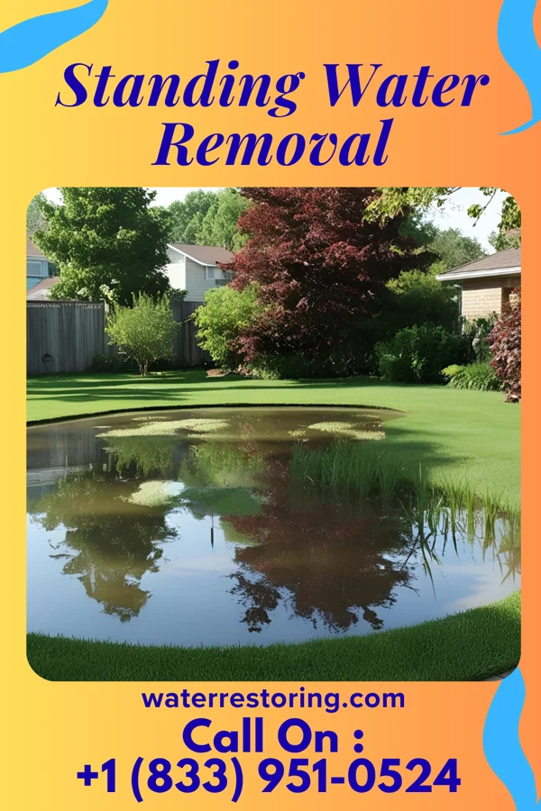 Standing Water Removal in McArthur, OH